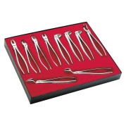 ETUI 10 FORCEPS E100