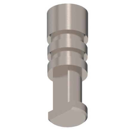 ANÁLOGO COMPATIBLE AVEC NOBEL BRANEMARK - 1 ud