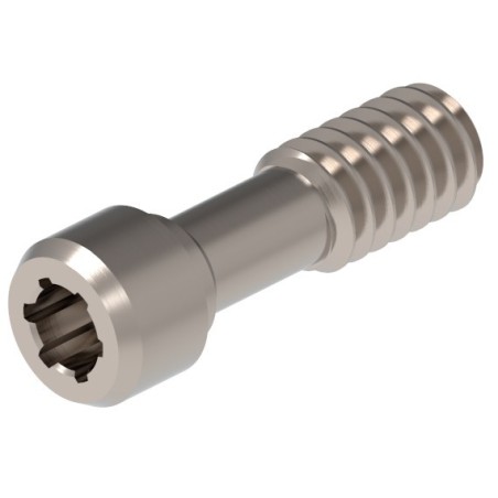 VIS TORX COMPATIBLE AVEC MIS SEVEN - 1 ud