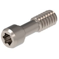 VIS TORX COMPATIBLE AVEC ASTRA TECH AQUA - 1 ud