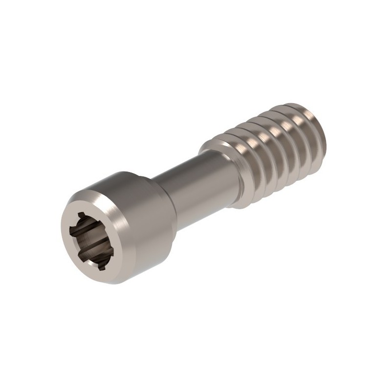 VIS TORX COMPATIBLE AVEC ASTRA TECH AQUA - 1 ud