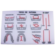 MODELE MOUSSE PRATIQUE DE SUTURE