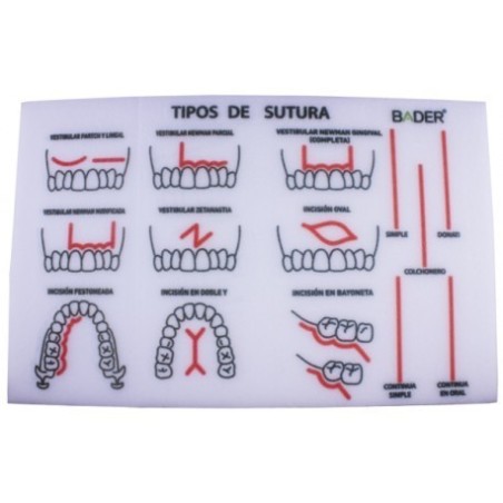 MODELE MOUSSE PRATIQUE DE SUTURE