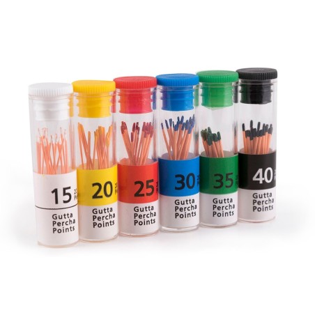 GUTTAPERCHA ISO COULEUR 120 unites