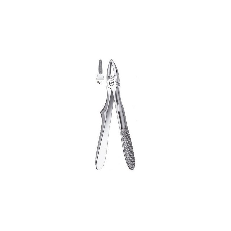 FORCEPS KLEIN ENFANTS INCISIVES SUPERIEURES