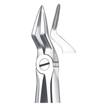 FORCEPS RACINES SUPERIEURES 51A CARL MARTIN