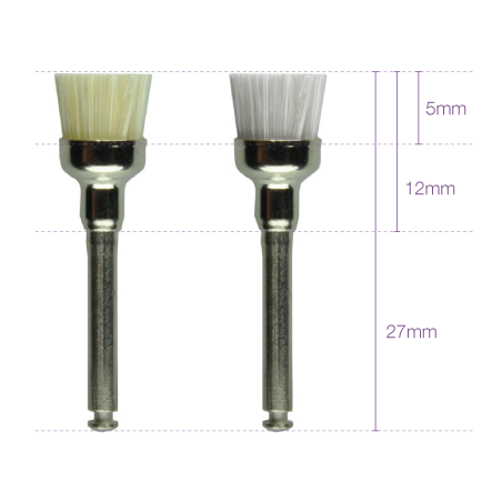 BROSSE PROPHYLAXIE CA 10 unites