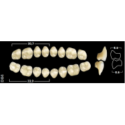 DENTS GNATHOSTAR A-D POST INF D84 1 ud