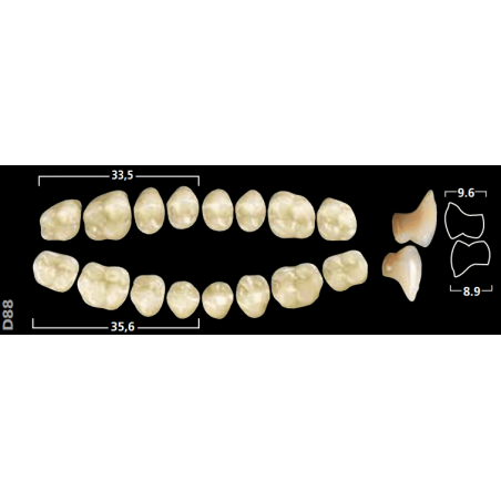 DENTS GNATHOSTAR A-D POST INF D88 1 ud