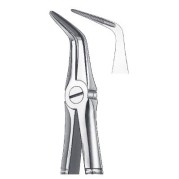 FORCEPS RACINES INFERIEURES 145 CARL MARTIN