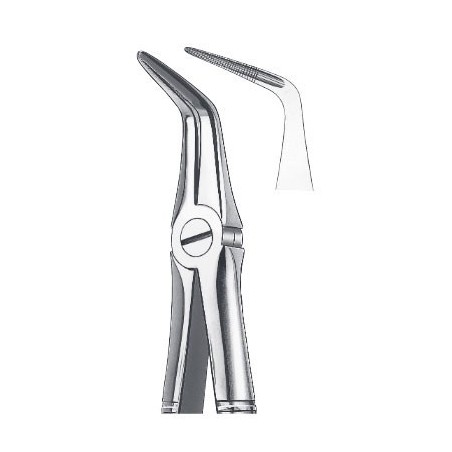 FORCEPS RACINES INFERIEURES 145 CARL MARTIN