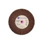 DISQUES RADIALES ROUGES 110x30 MIXTOS PONCER GRAIN 320