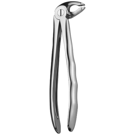 LS118 FORCEPS PREMOLAIRES INF. LIQUID STEEL