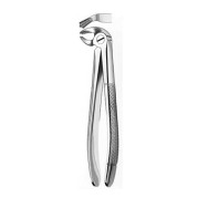 24 FORCEPS MOLAIRE INFER. IZQDA.