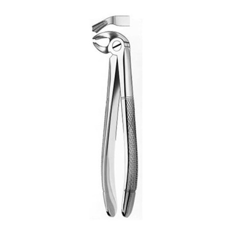 24 FORCEPS MOLAIRE INFER. IZQDA.