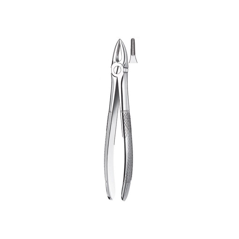 29 FORCEPS RACINES SUPERIEURES