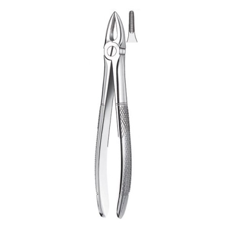 29 FORCEPS RACINES SUPERIEURES