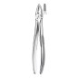 29 FORCEPS RACINES SUPERIEURES