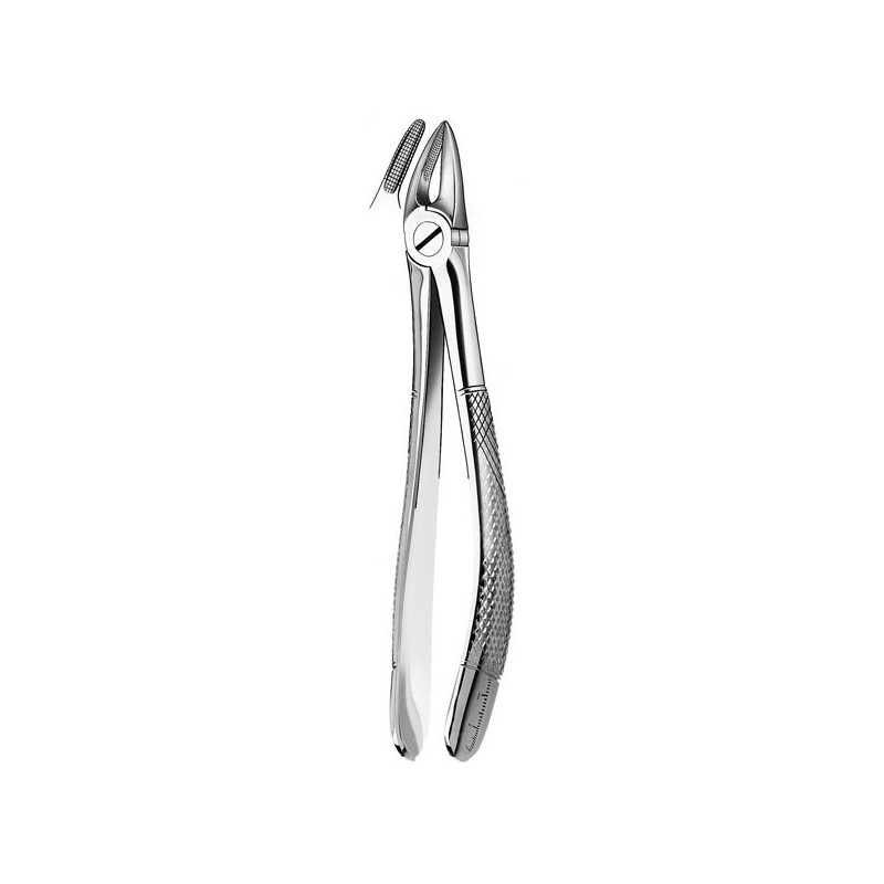 30 FORCEPS RACINES SUPERIEURES