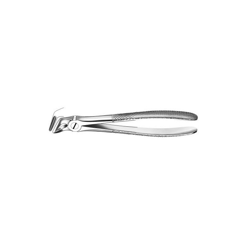 31 FORCEPS RACINES INFERIEURES