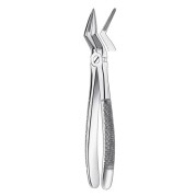 51 1/2 FORCEPS RACINES SUPERORES