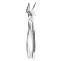 51 1/2 FORCEPS RACINES SUPERORES