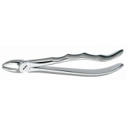 301 FORCEPS RACINES INF.M/ANAT.