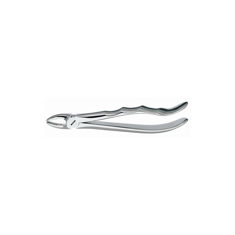 301 FORCEPS RACINES INF.M/ANAT.