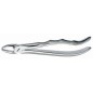 301 FORCEPS RACINES INF.M/ANAT.