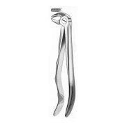 313 FORCEPS RACINES