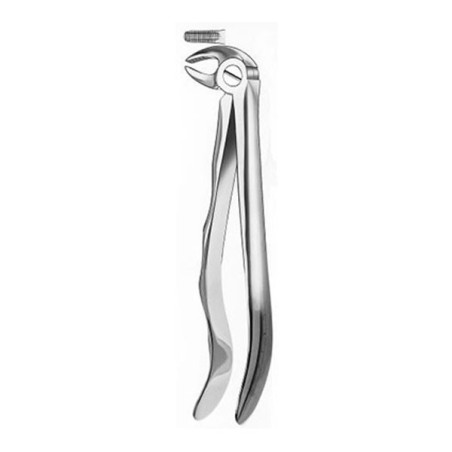 313 FORCEPS RACINES