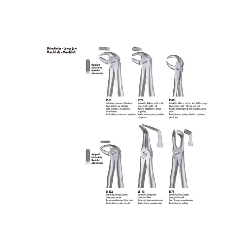 LS13 FORCEPS PREMOLAIRE INFERIEURE LIQUID STEEL