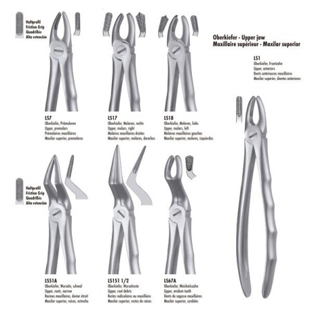 LS13 FORCEPS PREMOLAIRE INFERIEURE LIQUID STEEL