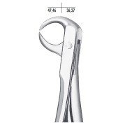 FORCEPS BEC DE PERROQUET 86C CARL MARTIN