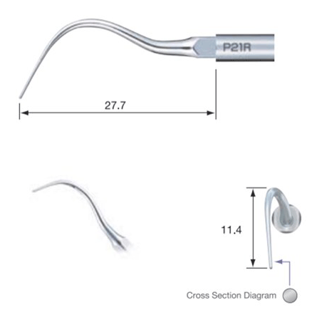 INSERT ULTRASONS PERIO P21R