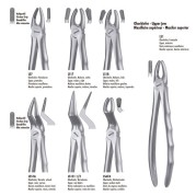 LS17 FORCEPS MOLAIRE SUPERIEURE DROITE LIQUID STEEL