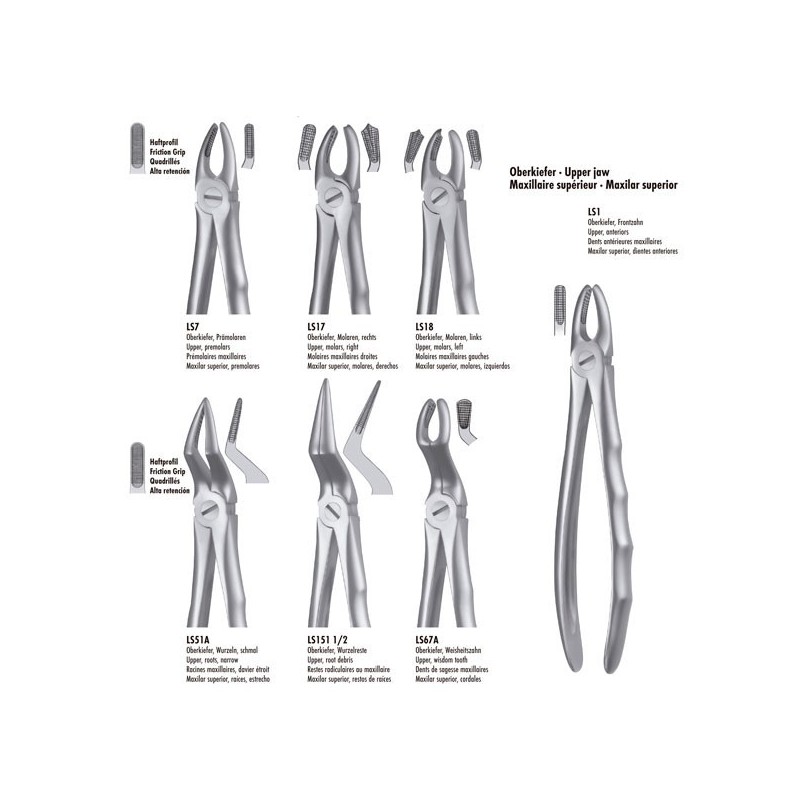 LS17 FORCEPS MOLAIRE SUPERIEURE DROITE LIQUID STEEL