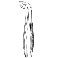 E33 FORCEPS N.33 RACINES INFERIEURE