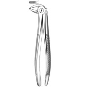 E33 FORCEPS N.33 RACINES INFERIEURE