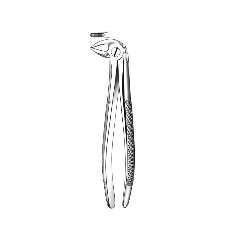 E33 FORCEPS N.33 RACINES INFERIEURE