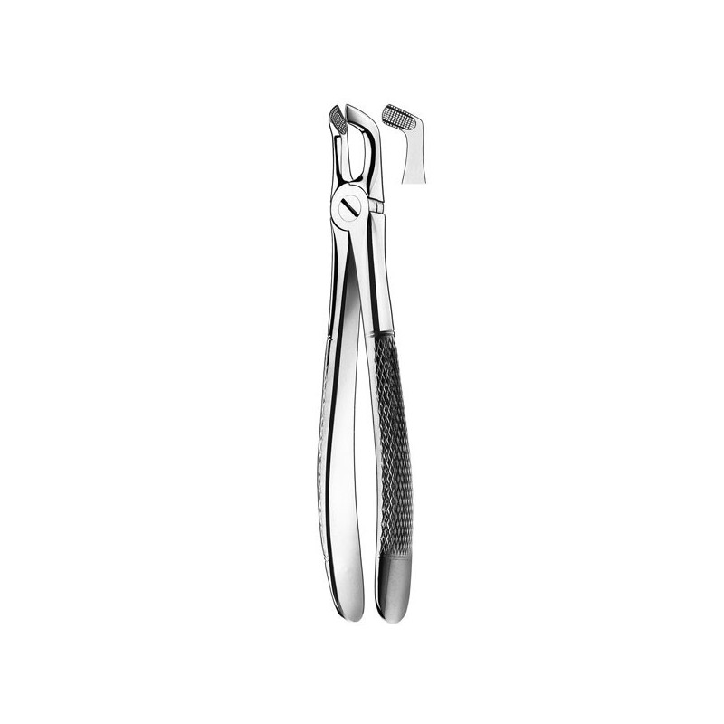 E79A FORCEPS CORDAL INFERIEURE