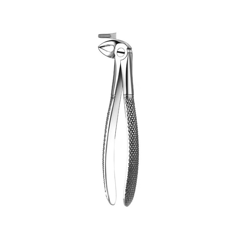 33K FORCEPS RACINES INFERIEURES