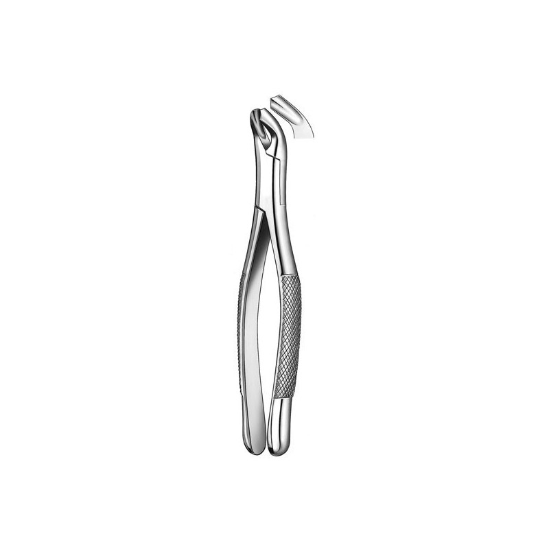 409/17 FORCEPS MOLAIRE INFERIEURE