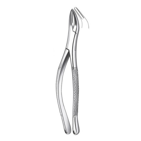 FORCEPS TOMES 409/69