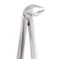 GX13 FORCEPS GATOREX INCISIVES/CANINES INFERIEURE ET PREMOLAIRES