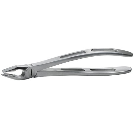 GX17 FORCEPS GATOREX MOLAIRES SUPERIEURES DROITE