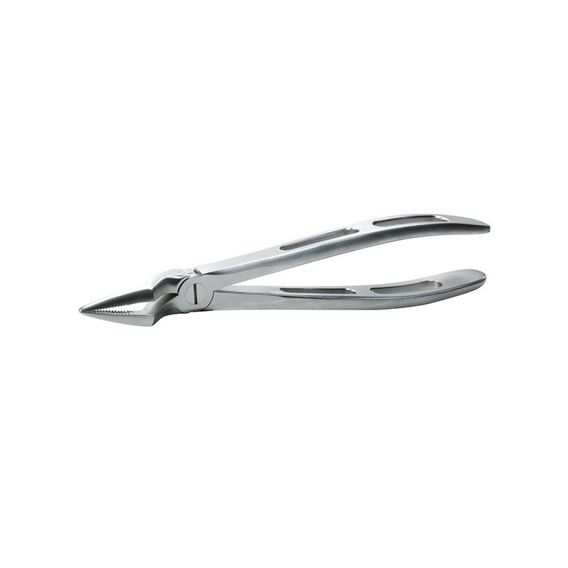 GX51A FORCEPS GATOREX RACINES SUPERIEURES