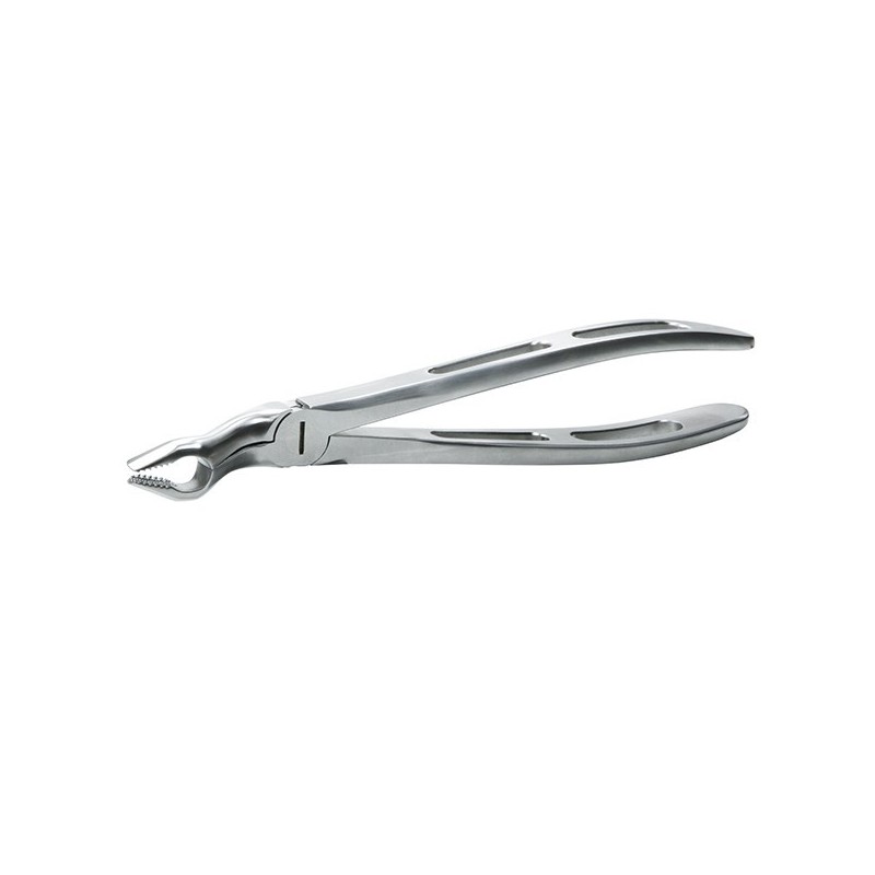 GX67A FORCEPS GATOREX CORDALES SUPERIEURES