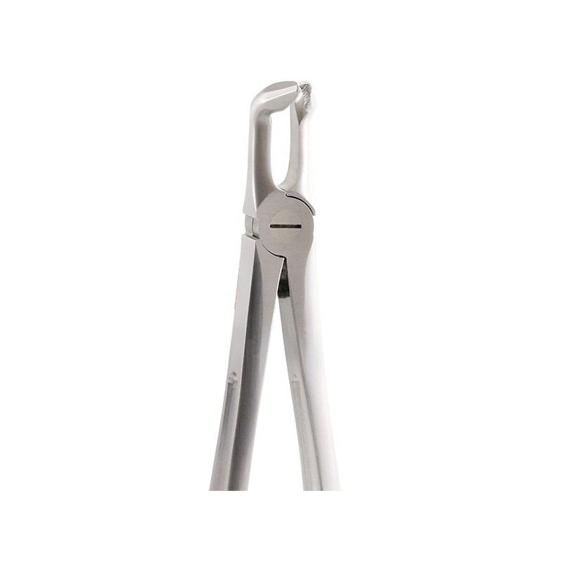 GX79 FORCEPS GATOREX CORDALES INFERIEURES