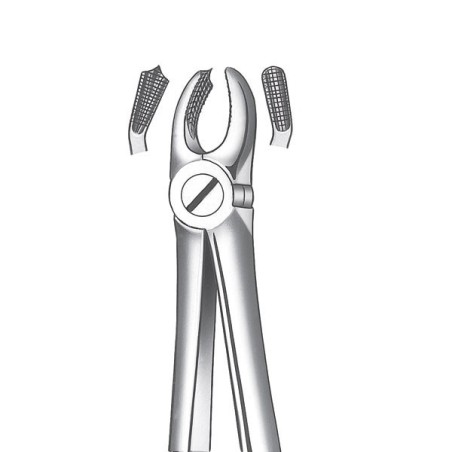 18D FORCEPS MOLAIRE SUPERIEURE GAUCHE DIAMANT